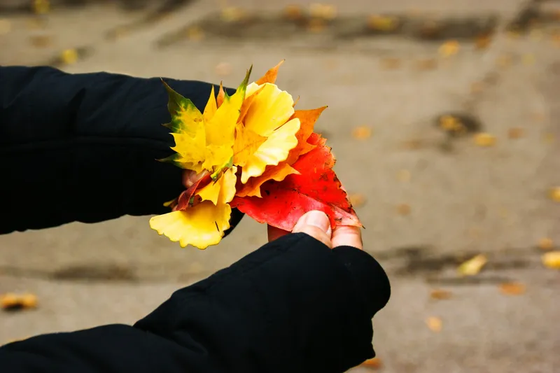 funerale a novembre